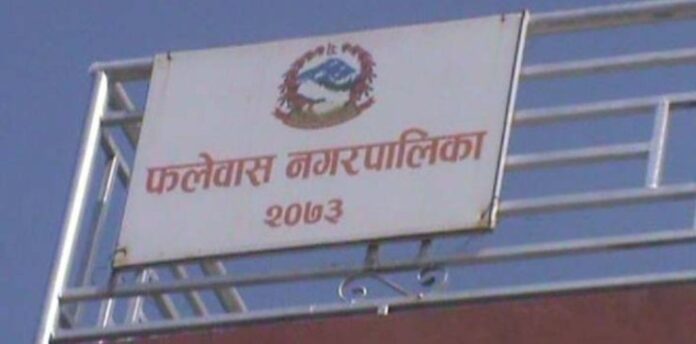 falebas_falewas_nagarpalika1644462836