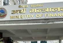 गाँजा खेतीलाई कानूनी मान्यता दिन अर्थ मन्त्रालय सकारात्मक, गृहसँग समन्वय गर्ने